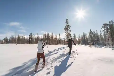 Rovaniemi: Backcountry Skiing Adventure