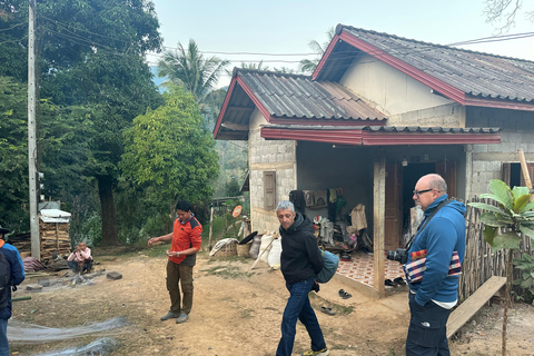 2 Day From Luang Prabang to Nong Khiaw-Camping and Trekking Pick-up and drop-off in Luang Prabang