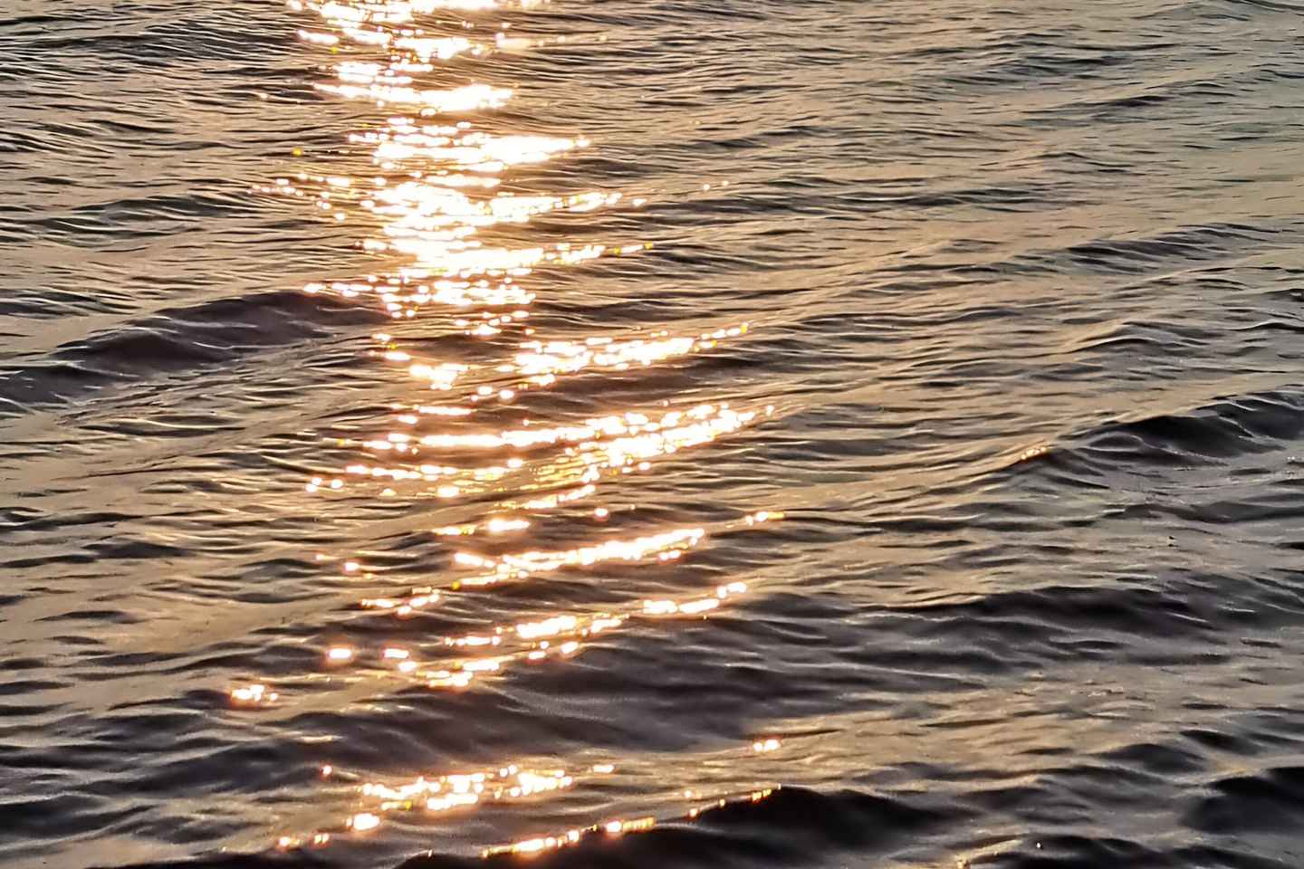 乌马格：海豚观赏与日落全景之旅