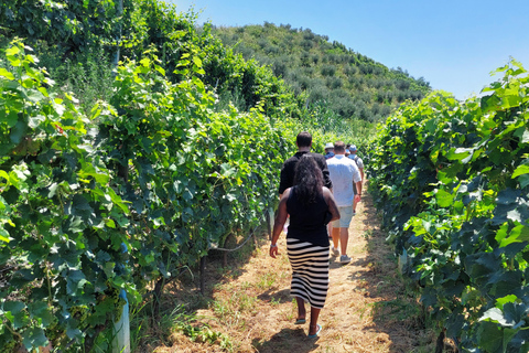 Au départ de Durres/ Visite des vignobles et dégustation de vins