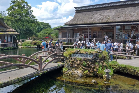 Tokyo : Excursion d'une journée à la 5e station du Mont Fuji, dans la région du Fuji et à Kawaguchiko8:20 Rendez-vous au bureau de poste de Shinjuku