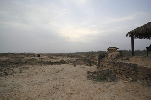 Salalah: Private City Tour — Half or Full Day Half day - Coach (21-45 guests)