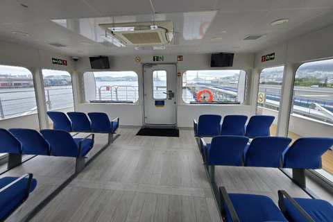 PanStar Busan Coastline Cruise & Sunset & Fireworks