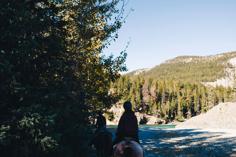 Pemberton Hill: Scenic Horseback Ride for Beginners