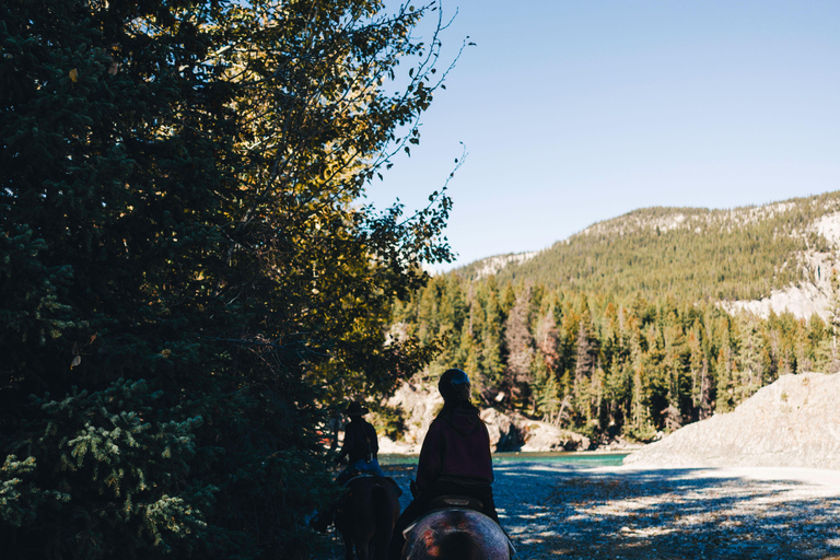 Pemberton Hill: Scenic Horseback Ride for Beginners