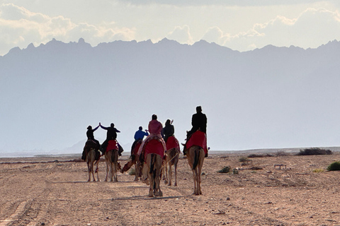 camel ride with sunset and star watching