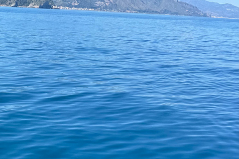 Taormina: Sunset Dolphin Tour by Catamaran with Aperitif