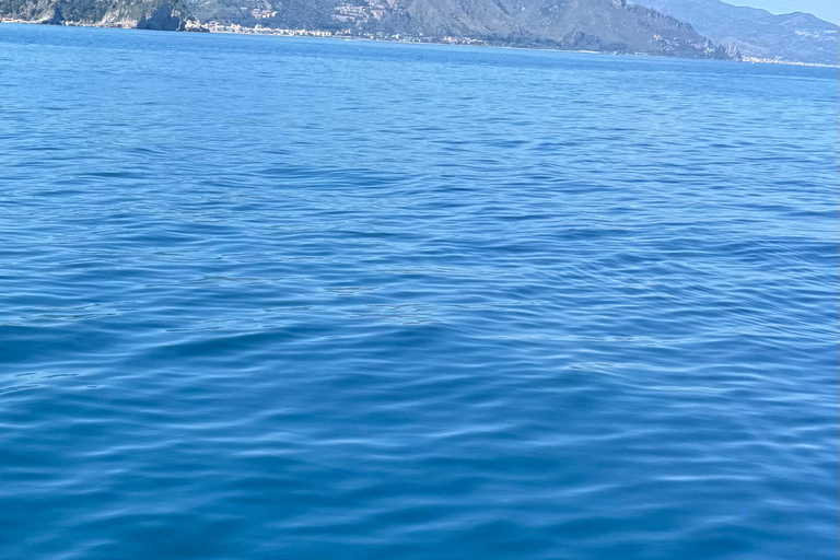 Taormina: Sunset Dolphin Tour by Catamaran with Aperitif