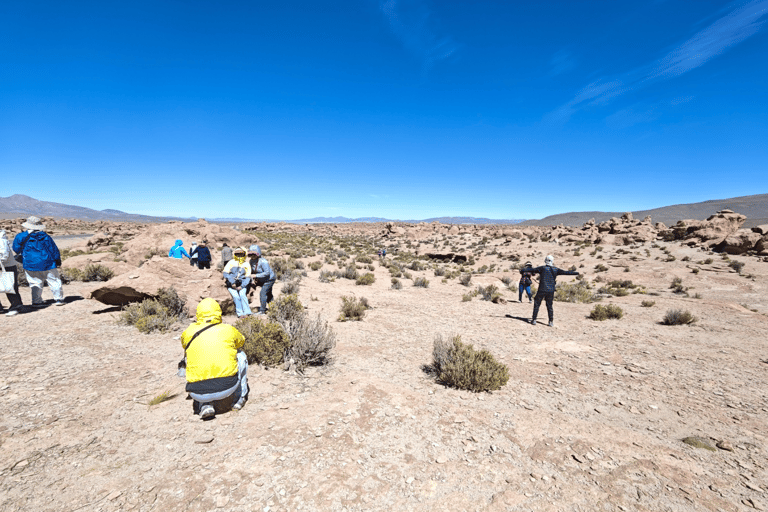 Uyuni: Full-day Flamingo tour Uyuni: Full-day Flamingo Tour