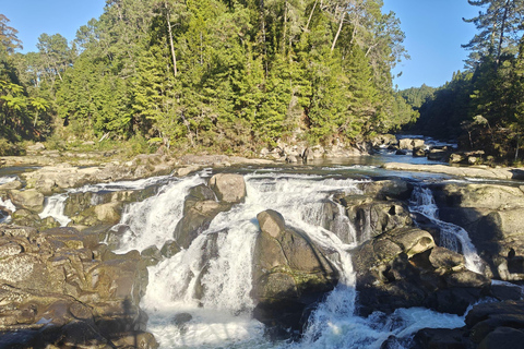 Évasion à la plage de Mount Maunganui : excursion panoramique d&#039;une journée au départ d&#039;Auckland