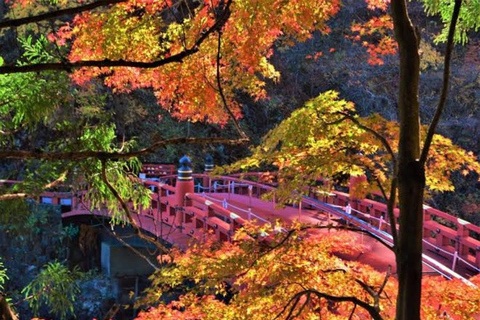 From Tokyo: Nikko World Heritage Sight Full Day Private Tour