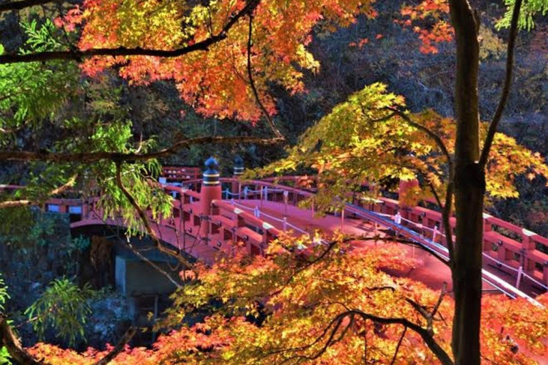 From Tokyo: Nikko World Heritage Sight Full Day Private Tour