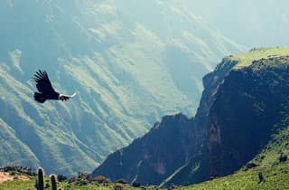 Colca Canyon, Salinas & Tal der Vulkane: Eintritt …