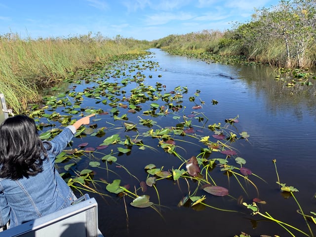 Miami : Les Everglades en canot pneumatique, photo et expérience avec les alligators