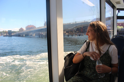 Copenhagen Guided Walking Tour: Old Town to Reffen Private Tour