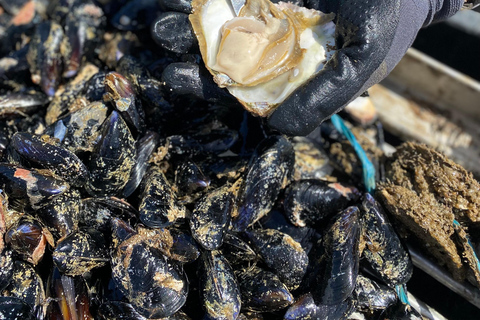 Oyster farm experience-private day trip from Dubrovnik