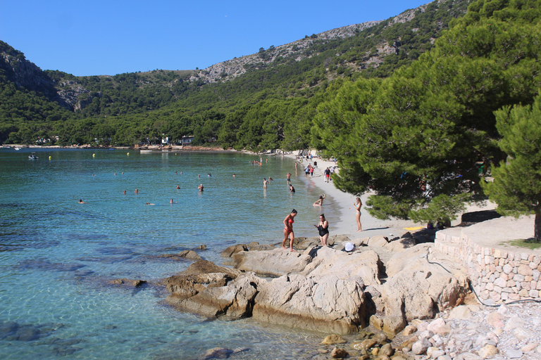 Mallorca: Scenic Formentor Tour by Bus & Boat Pick up in Playa de Muro