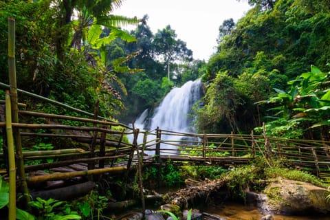 Chiang Mai: Doi Inthanon Park and Pha Dok Siew Trail Trek - Image 2