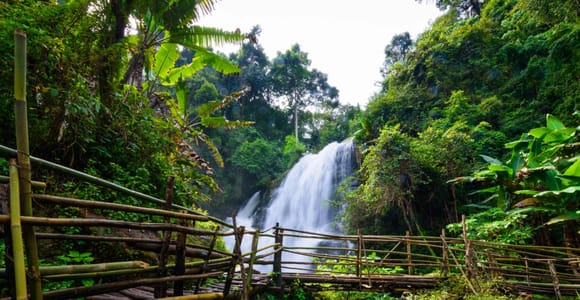 Chiang Mai: Doi Inthanon Park and Pha Dok Siew Trail Trek
