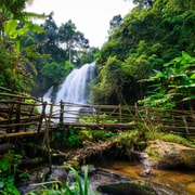 Chiang Mai: Doi Inthanon Park and Pha Dok Siew Trail Trek