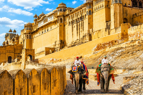 From Delhi: Golden Triangle Private Tour with Safari 7-days Golden Triangle Tour without Hotels & Tickets
