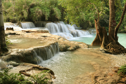 Luang Prabang: 1 Day Hike Hmong Village & Kuangsi Waterfall