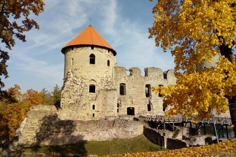 Desde Riga: Excursión de un día a las ciudades de Cesis y Sigulda
