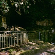 Bali: Balinese Temple Water Ritual with Local Host