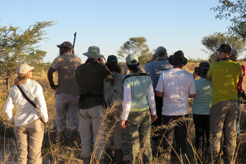 Cataratas Victoria, Hwange y Chobe: safari económico de 7 días