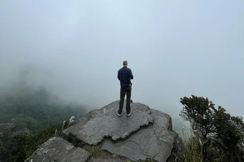Bogota: Dagtocht Chicaque Wolkenwoud met Lunch