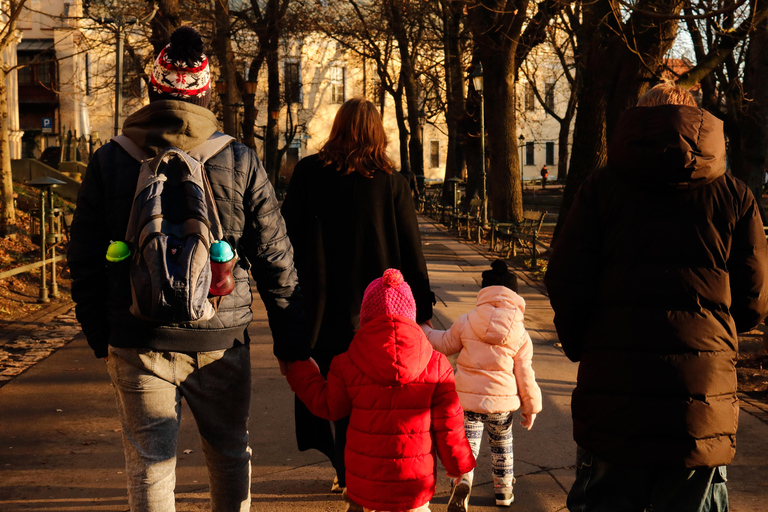 Krakow: Guided Tour with Wawel Cathedral Entry Tour in Polish