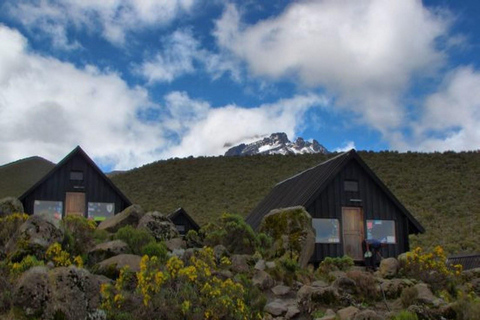 Kilimanjaro: 6-Day Marangu Route Climbing Tour
