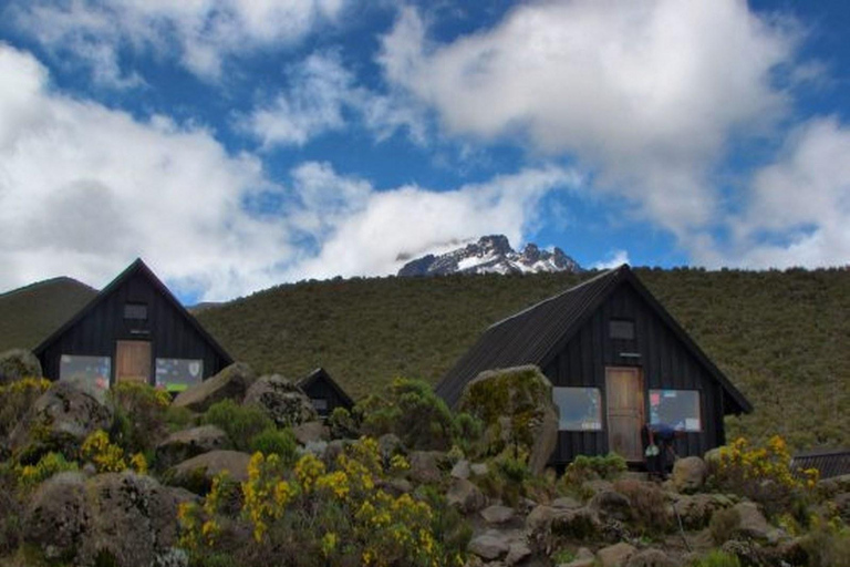 Kilimanjaro: 6-Day Marangu Route Climbing Tour