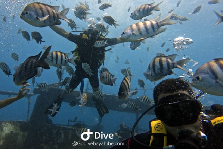 Bayahibe Godive - Inicjacja nurkowaniaOdkryj nurkowanie - Bayahibe Go Dive