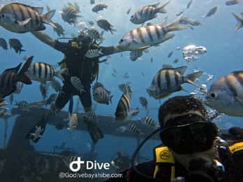Bayahibe: Scuba Diving Initiation by Go Dive Bayahibe