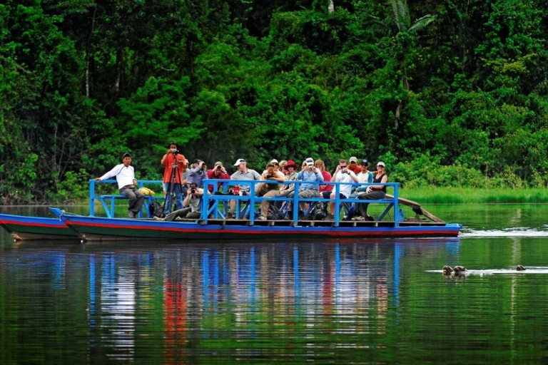 Tambopata 4-dniowa wycieczka i ceremonia ayahuaski