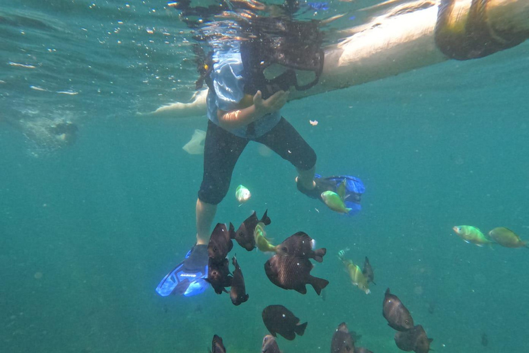 Sanur : Snorkelen bij de kust van SanurSanur : Snorkelen