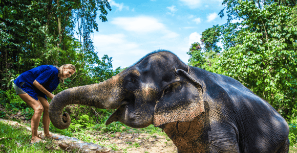Krabi: Ethical Elephant Sanctuary Experience
