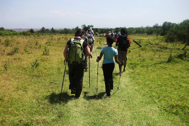 Excursion au mont Meru : culture, nature, café, cuisine et cascadesExcursion culturelle et naturelle à Meru : café, cuisine et cascades