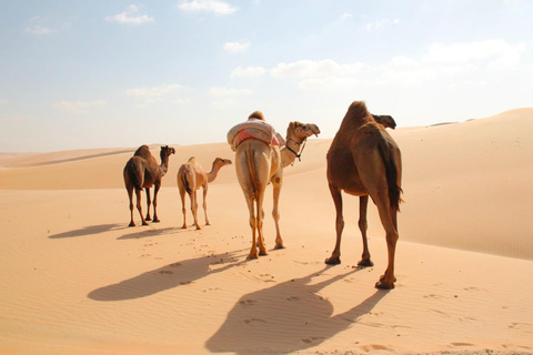 Doha: 4x4 Desert Tour with Inland Sea & Optional Activities Group Tour with QuadBike Ride (ATV)