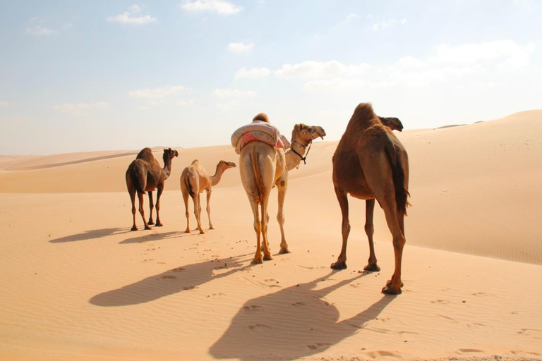 Doha: 4x4 Desert Tour with Inland Sea & Optional Activities Group Tour with QuadBike Ride (ATV)
