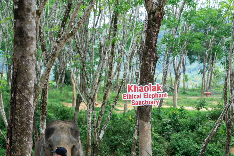 Khao Lak’s Best: Elephant Sanctuary,Rubber Tapping&Waterfall Khaolak Elephant Sanctuary Guided Tour with Hotel Transfers