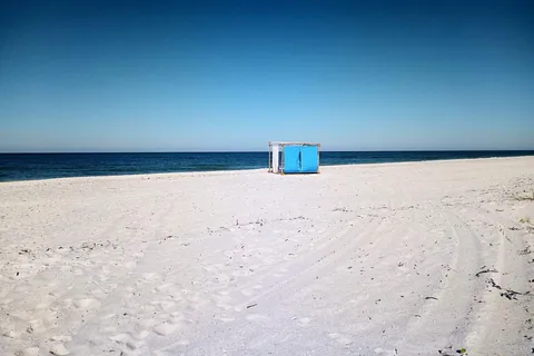 Clearwater: Beach Bummers LLC
