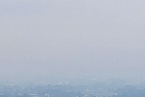 Templi e sapori: tour di Prambanan con fotografo e pranzoTempli e gusto: tour di Prambanan con fotografo e pranzo