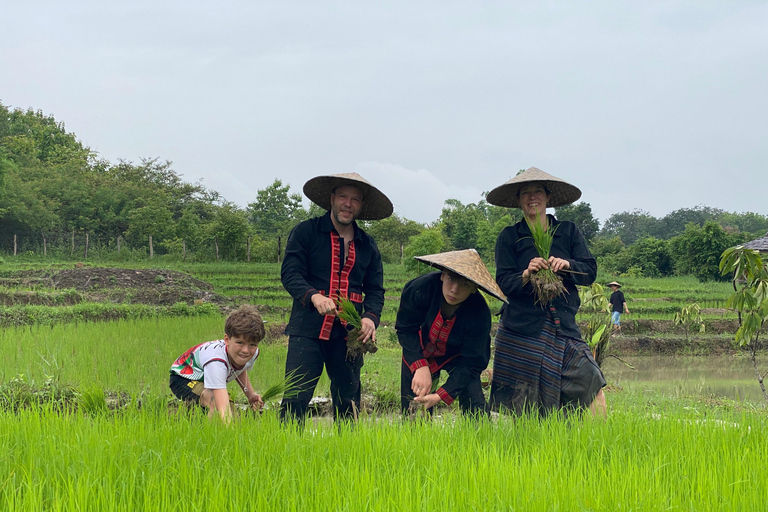 Luang Prabang: Rice Farm, Fishing & Picnic Experience