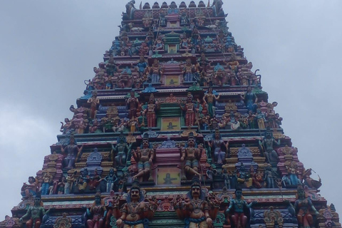 Tuk Trip Is Very Cheap In Colombo ( All Inclusive) City Tour