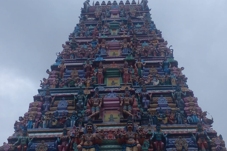 Tuk Trip Is Very Cheap In Colombo ( All Inclusive) City Tour