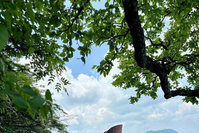 Zhangjiajie: Tianmen Mountain Glass Skywalk Adventure Zhangjiajie: Tianmen Mountain Glass Skywalk Adventure Line C