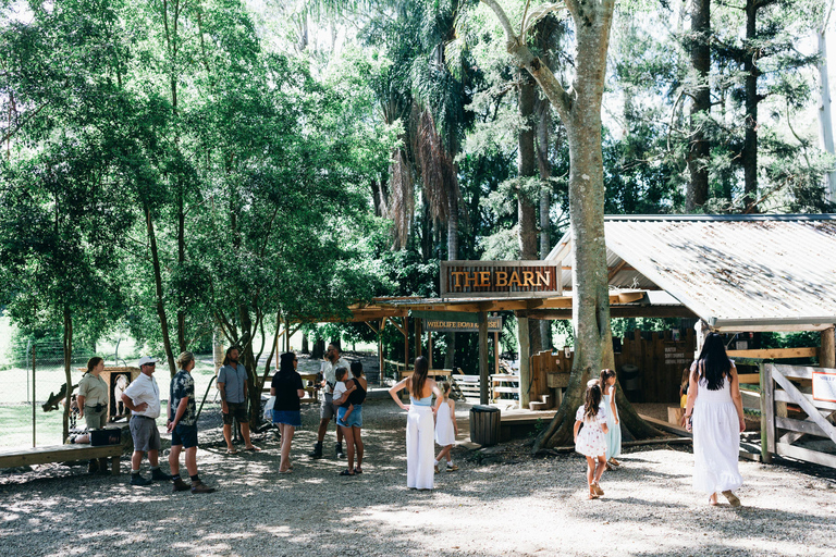 Gold Coast: Tropical Fruit World Tractor Train Tour