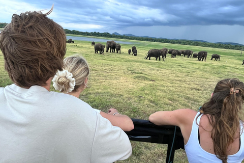 Parc national de Minneriya : Safari en Jeep avec billets